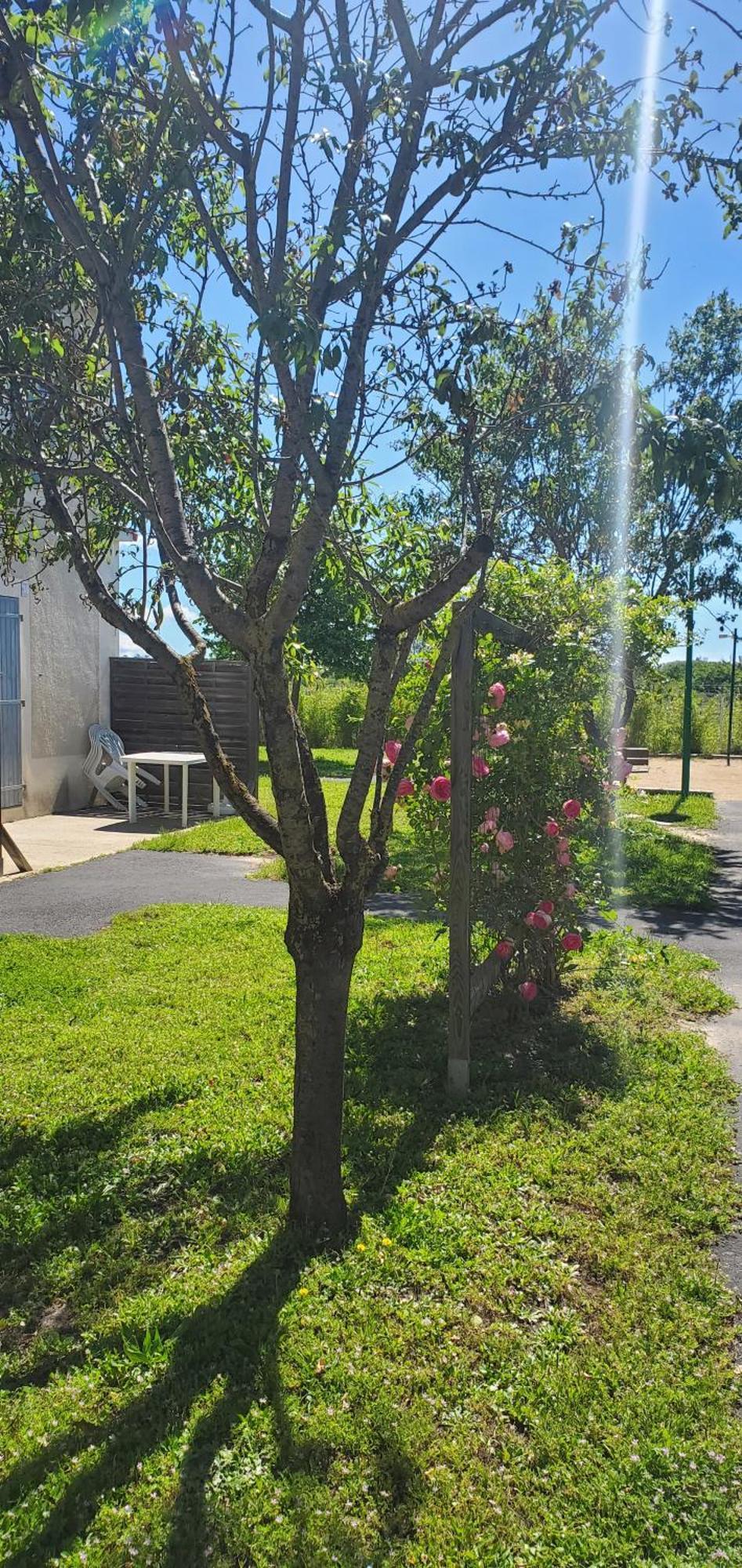 Le Canal Climatisation Wi-fi Parking Jardin Piscine 15 Mn De Beziers Colombiers (Herault)